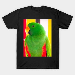 Male Eclectus Parrot (North East Australia) T-Shirt